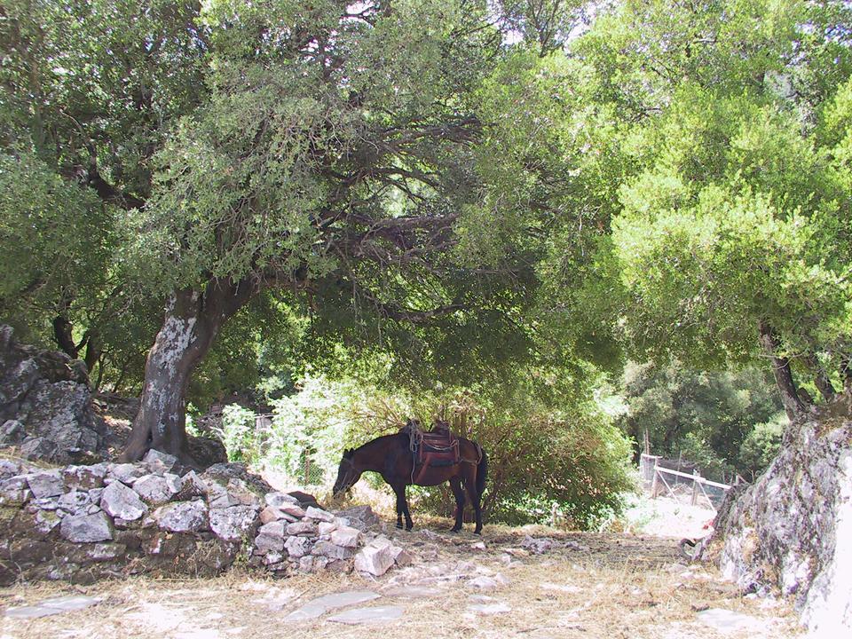 Hotel Agnanti Agios Konstantinos (Samos) Exterior foto