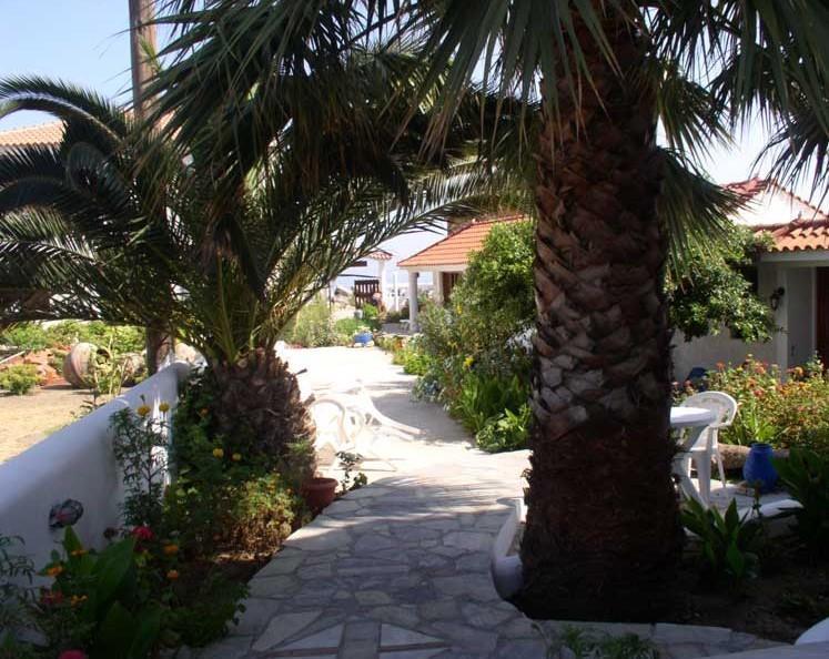 Hotel Agnanti Agios Konstantinos (Samos) Exterior foto